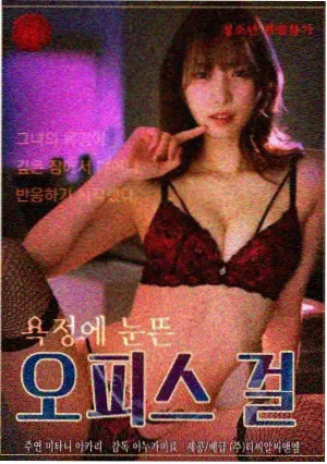 灾难剧集风暴眼海报